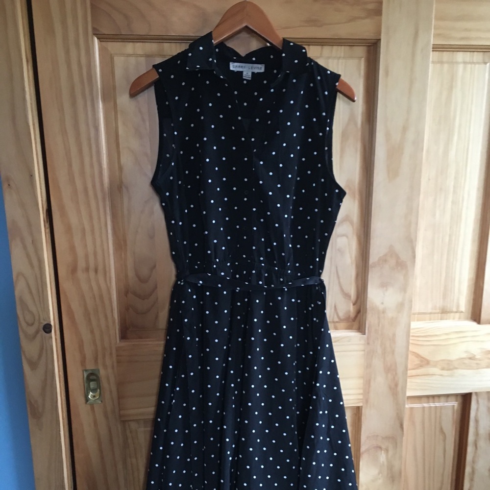 Polka dot button up dress